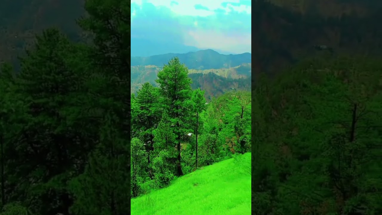 #nature