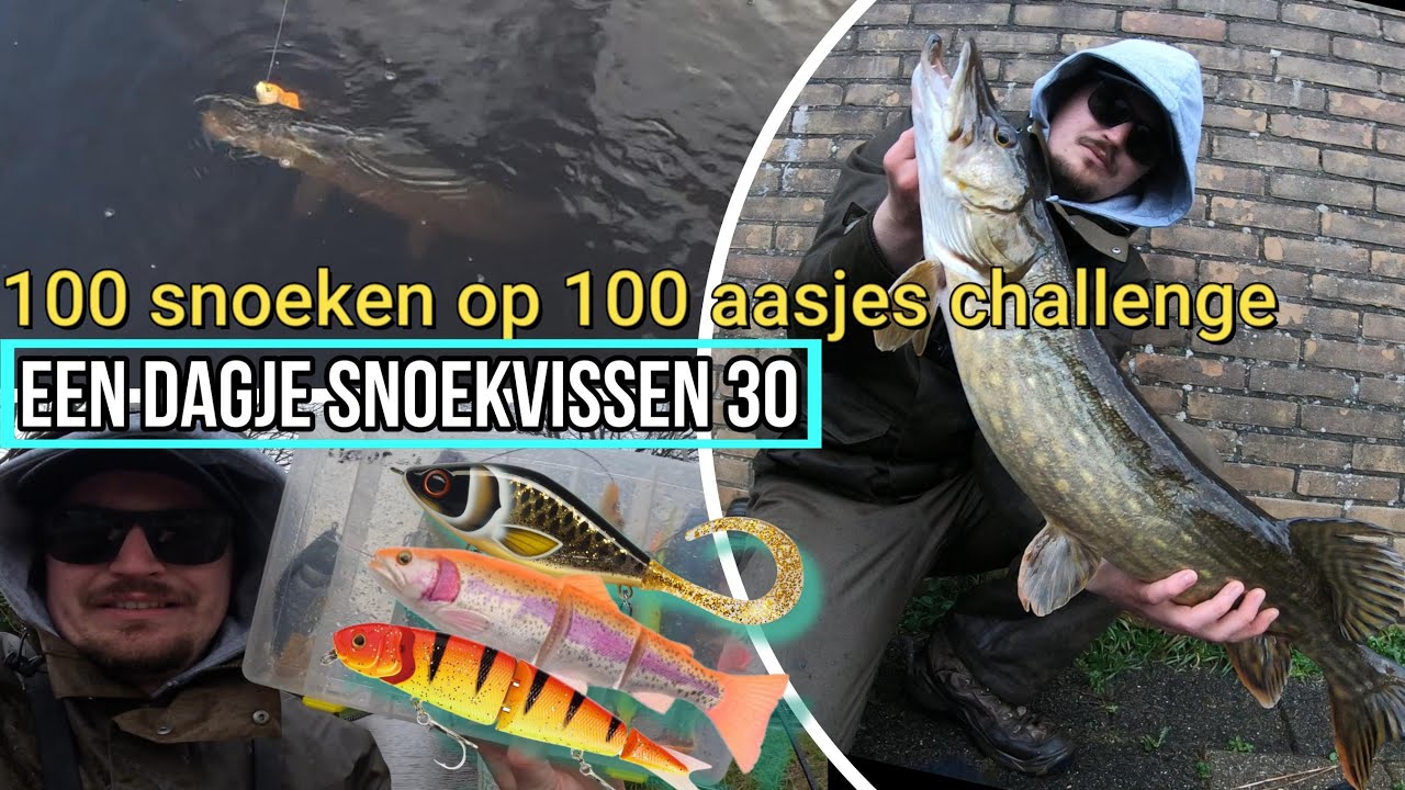 Challenge: 100 snoeken met 100 aasjes (Het begin) - Een dagje snoekvissen 30