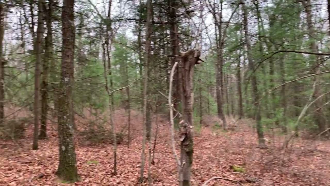 The Sound Location
