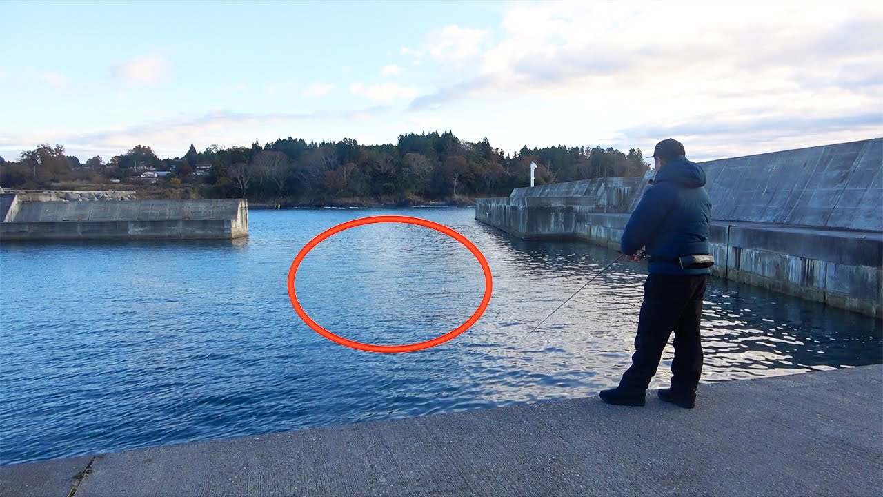 ここに投げれば釣れます！朝マズメにアジングしたら「アジが釣れる条件」が判明しました