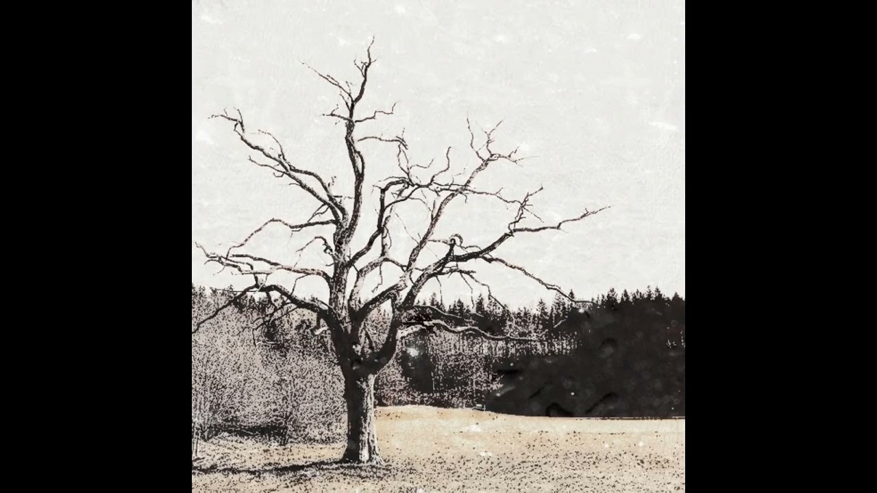 Negative - music