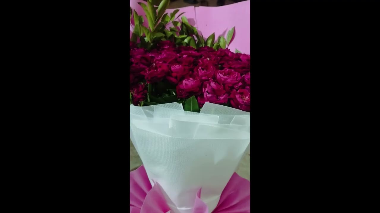 Phool 🌸   | Nightlight