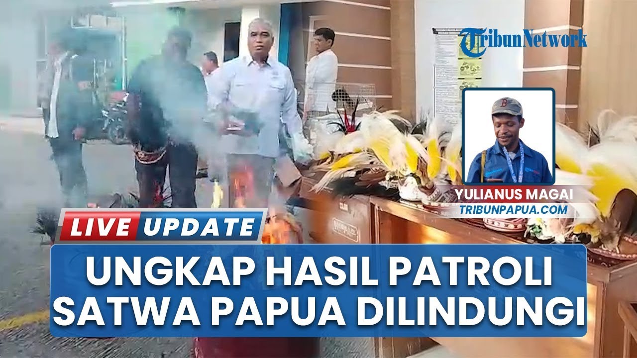Jerat Perdagangan Ratusan Satwa Papua Hasil Patroli Terpadu, Masyarakat Diimbau Hentikan Aksi Ilegal