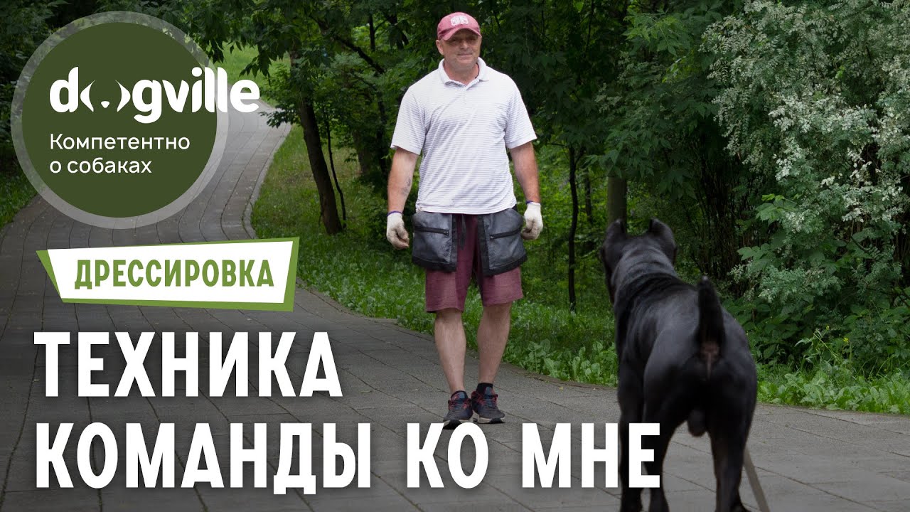 Команда «‎Ко мне»‎ — Техника выполнения