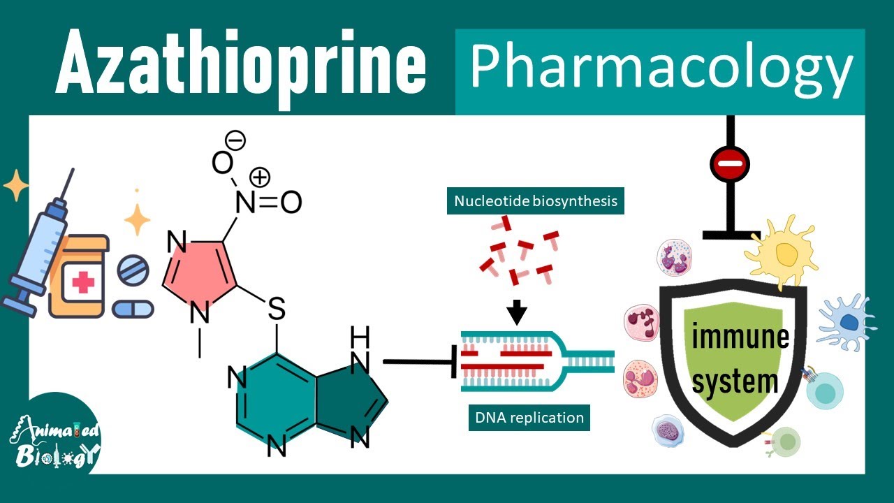 Azathioprine | Mode of action of Azathioprine | Immunosuppressant