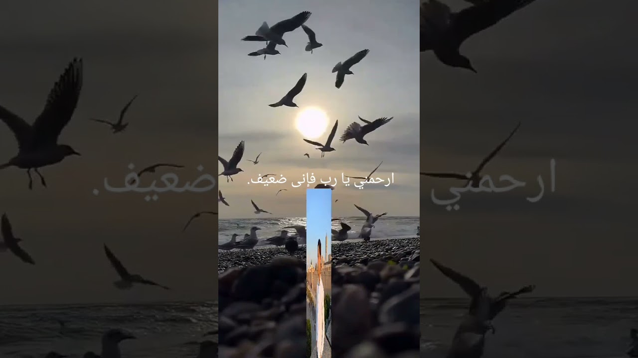 ارحمني يا رب فإنى ضعيف.