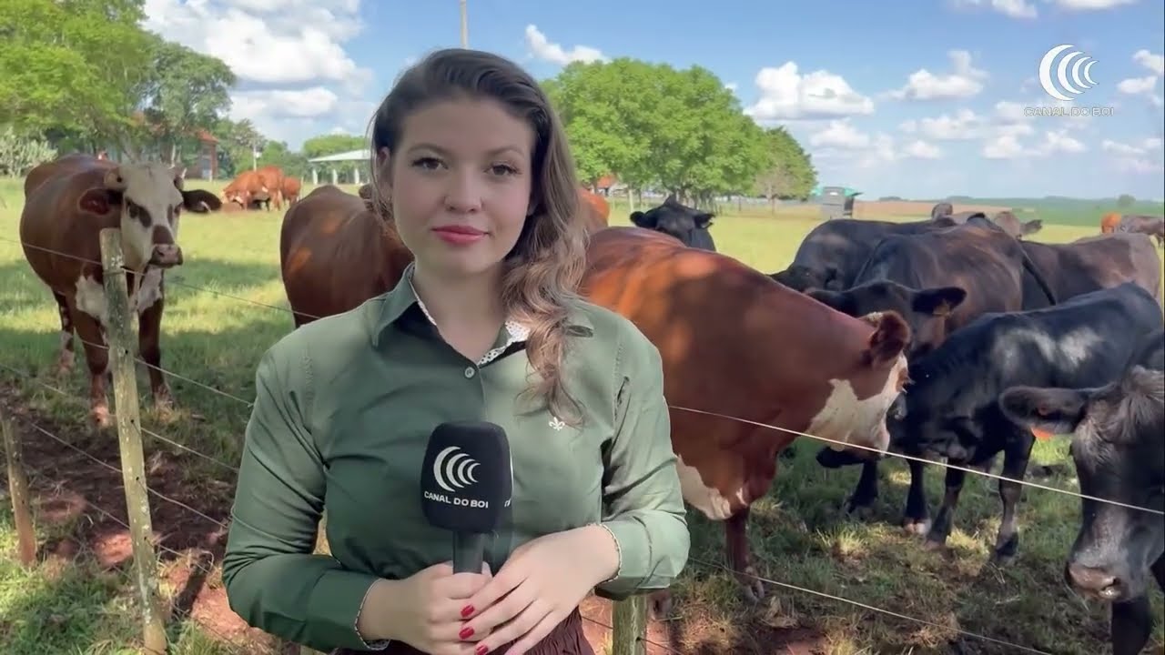 Cuidados com o gado devem ser intensificados no verão