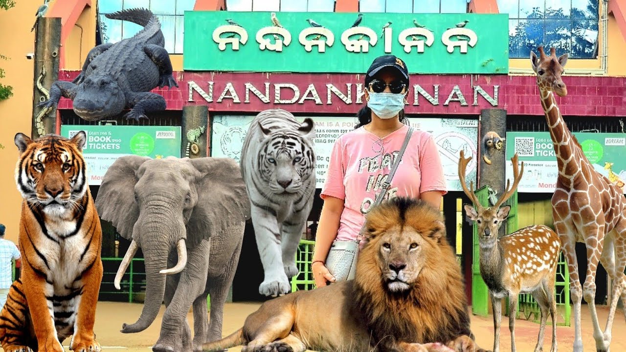 Nandankanan Zoological Park | ନନ୍ଦନକାନନ ଓଡ଼ିଶା | Bhubaneswar 2025 | #odishatourism #nandankanan 