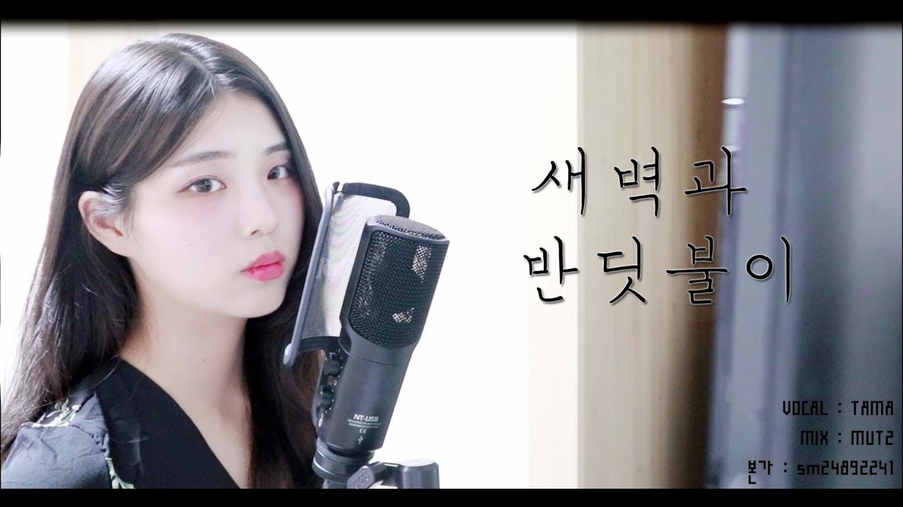 [타마/TAMA] 새벽과 반딧불이 한국어개사.VER /夜明けと蛍 KOR.VER 불러보았습니다!