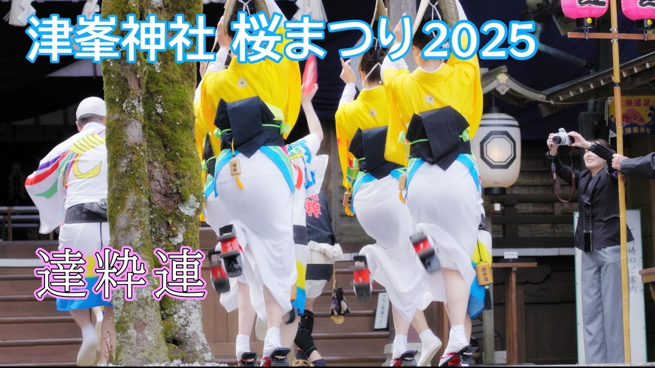 【阿波踊り2025】津峯神社桜まつり　達粋連