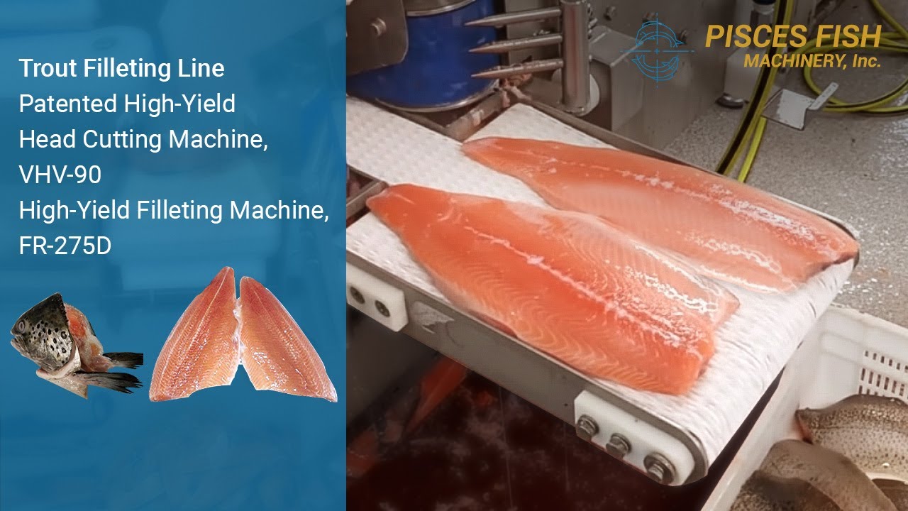 🎣 High-Yield Trout Filleting Line