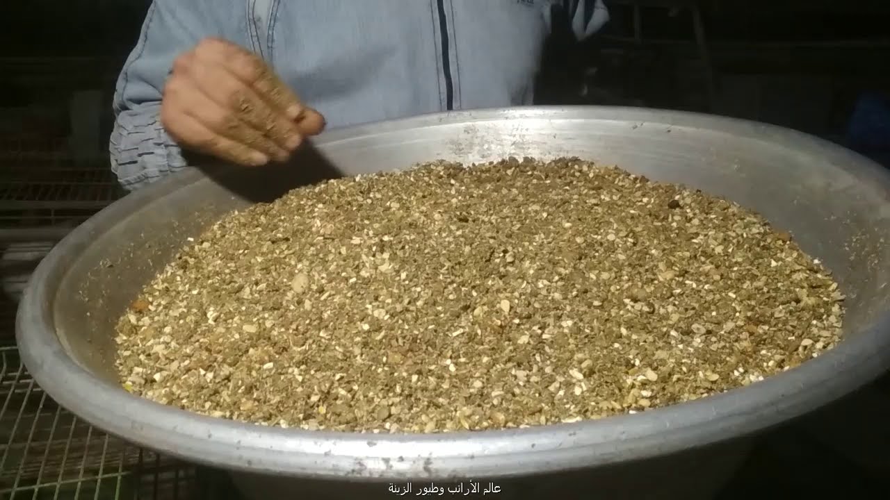 اصنع علف أرانبك  بنفسك  بمكونات  منزلية  بسيطة