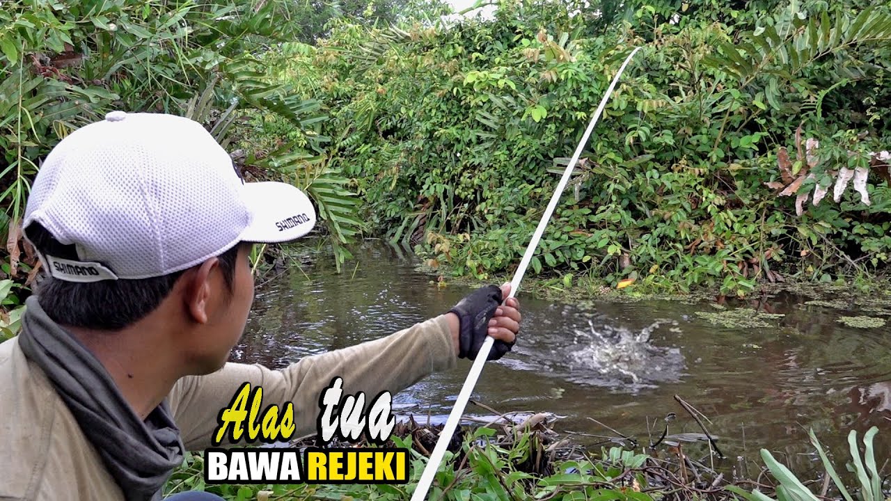 Panen raya saat mancing ikan disungai sedang surut-surutnya!!! #SG-342