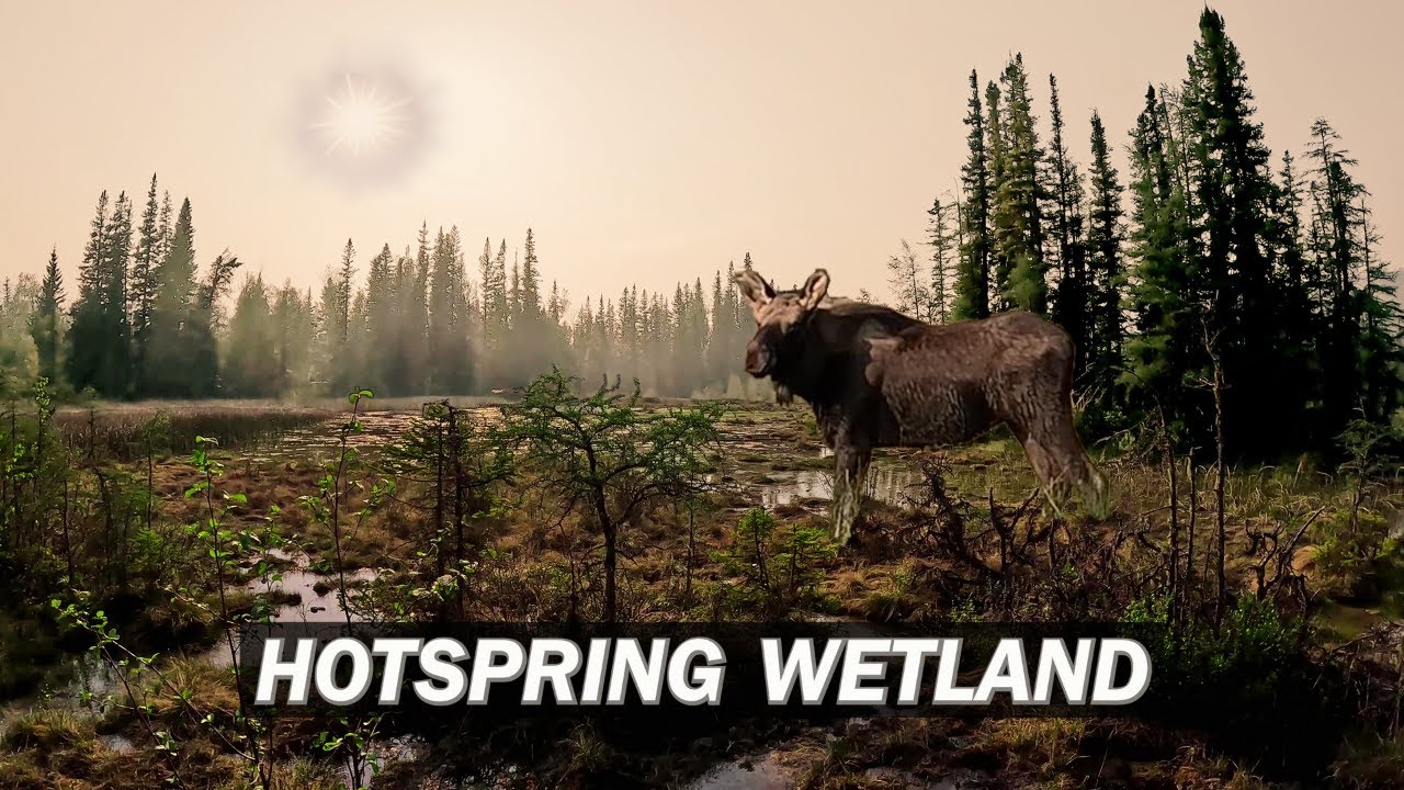 Exploring the Northern Rocky Mountains and Beyond!