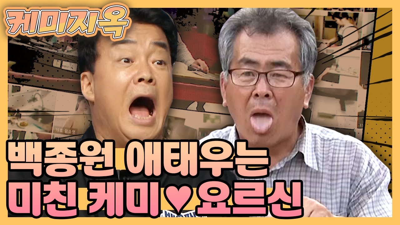 【케미지옥】 백종원 제대로 애간장 태우는 요르신🤣 현웃 터지는 둘의 미친케미 보고 가세요 ⁽⁽◝( ˙ ꒳ ˙ )◜⁾⁾ | 백파더 | TVPP