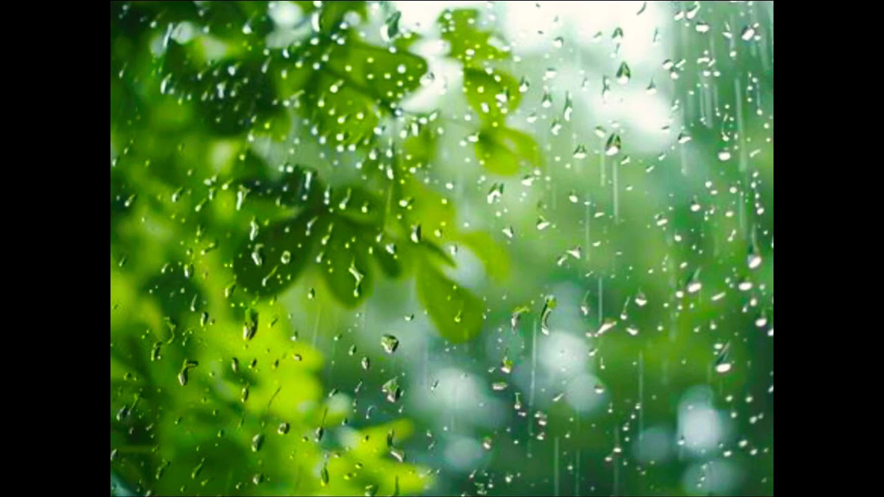 Relaxing rain noises 