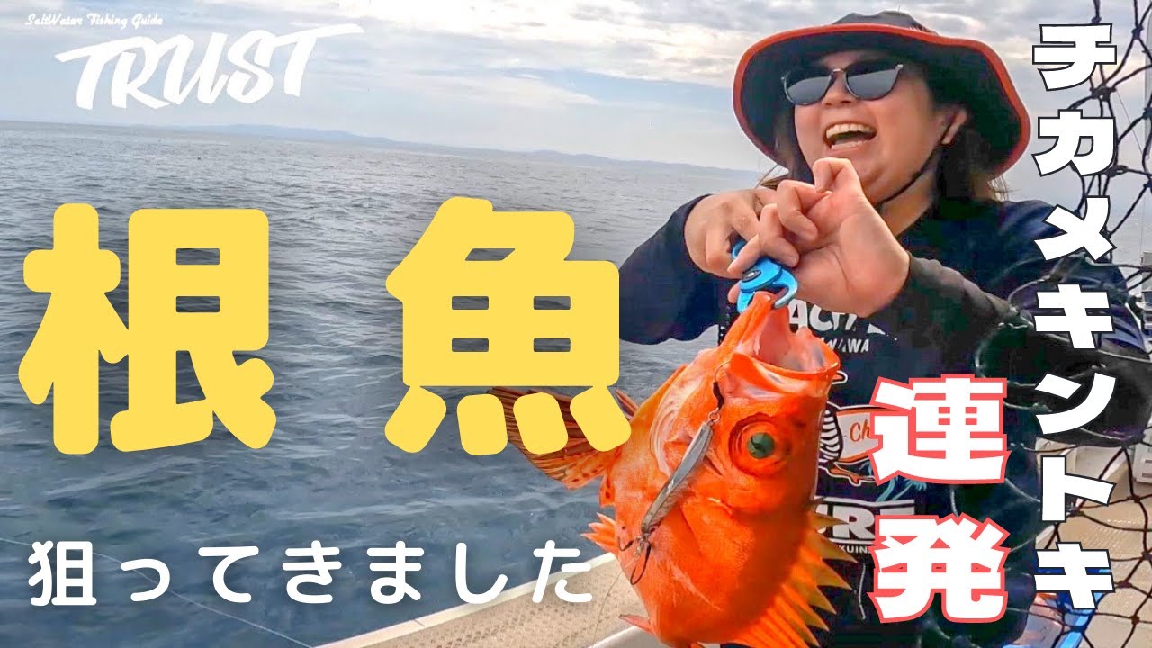 【島根半島】根魚狙い！！チカメキントキ祭！！