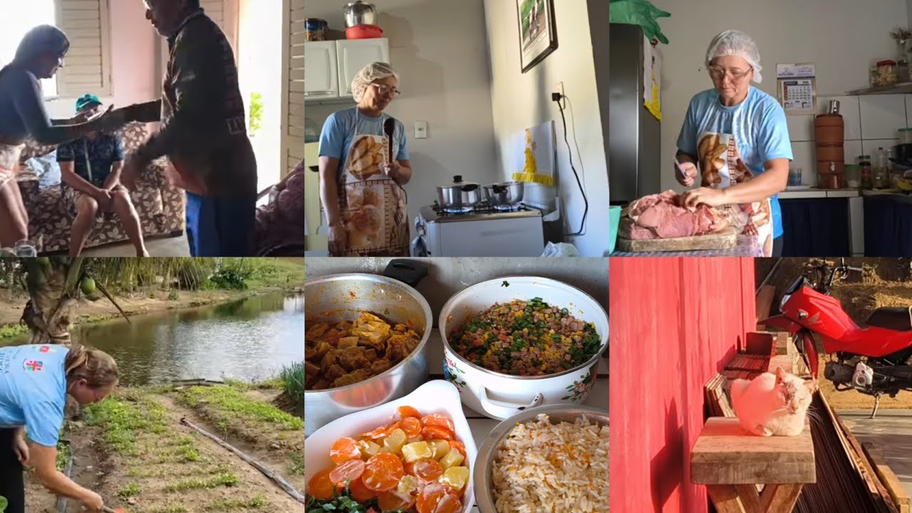 Recebemos visitas do Recife+ preparando nosso almoço+ olha minha gatinha como está.