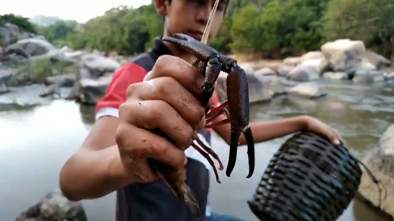 SACANDO CHACALES 