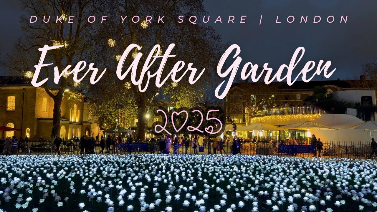 Ever After Garden London 2025 | 30 000 светящихся роз на площади Герцога Йоркского