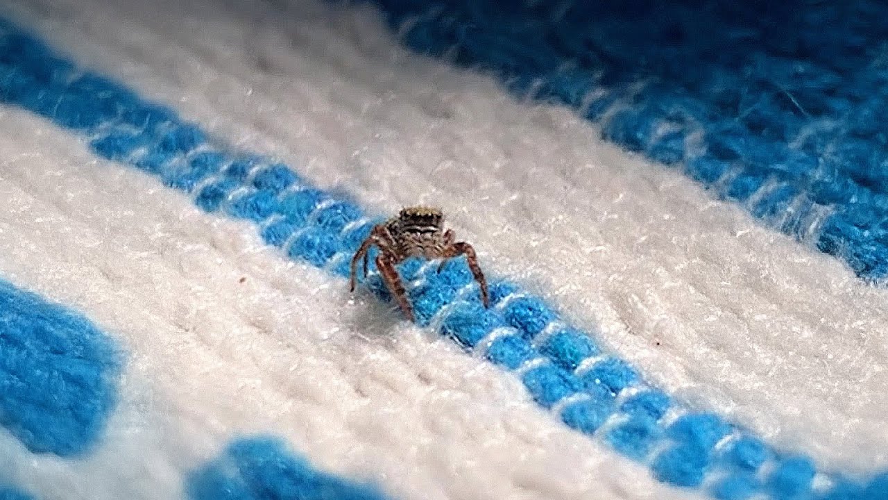 Don&rsquo;t Squish Your Tiny Roommates! 🐜💚