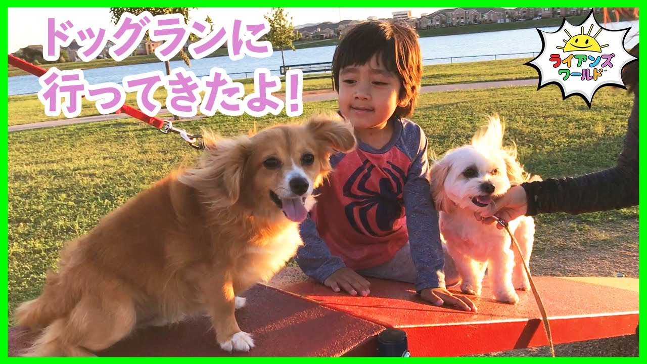 ドッグランに行ってきましたレポ！