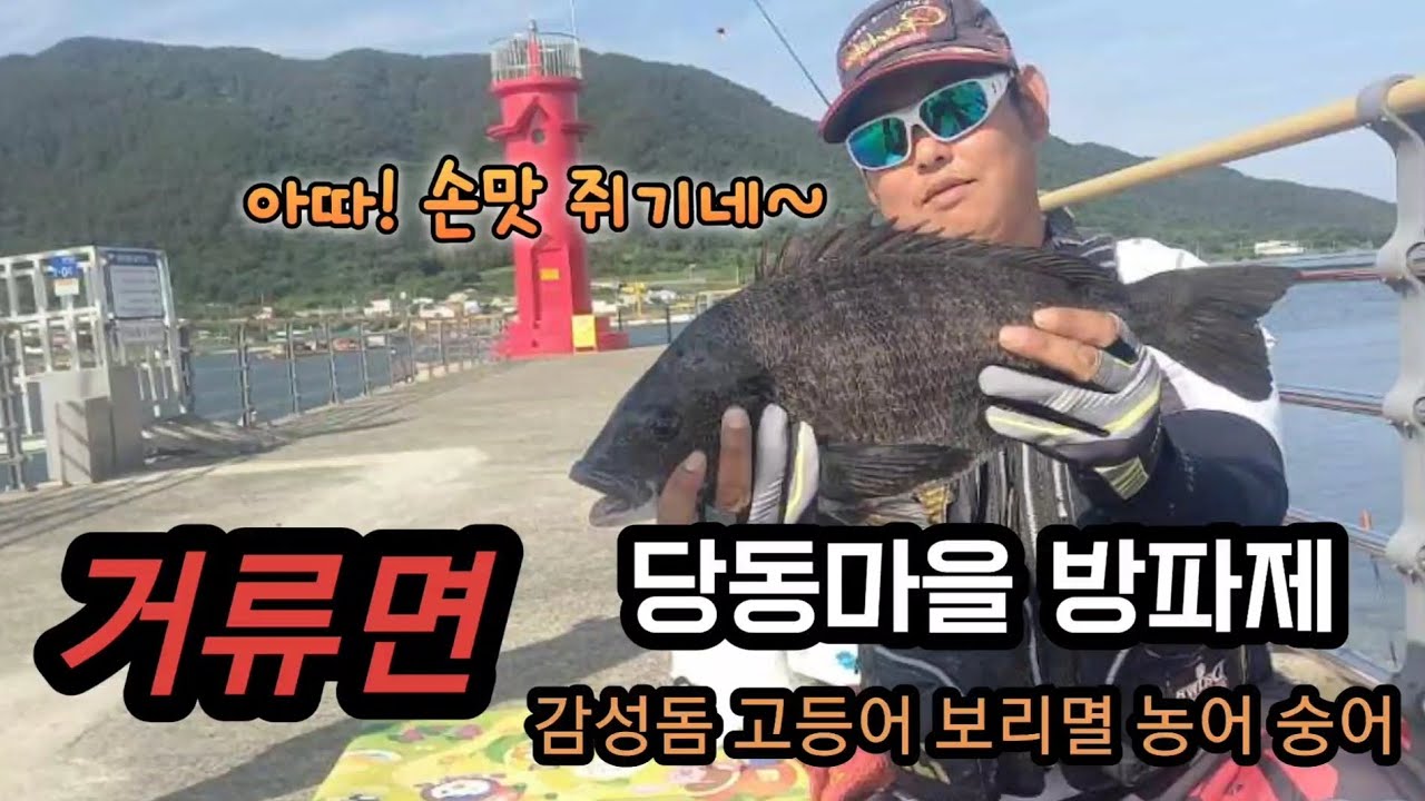 5짜 감성돔이 사는 숨은 명 포인트 / 고성 거류면 당동방파제 / 도보포인트 / 주차하고 바로 낚시 가능 / 감성돔, 고등어, 보리멸, #캠핑 #낚핑 #5짜감성돔