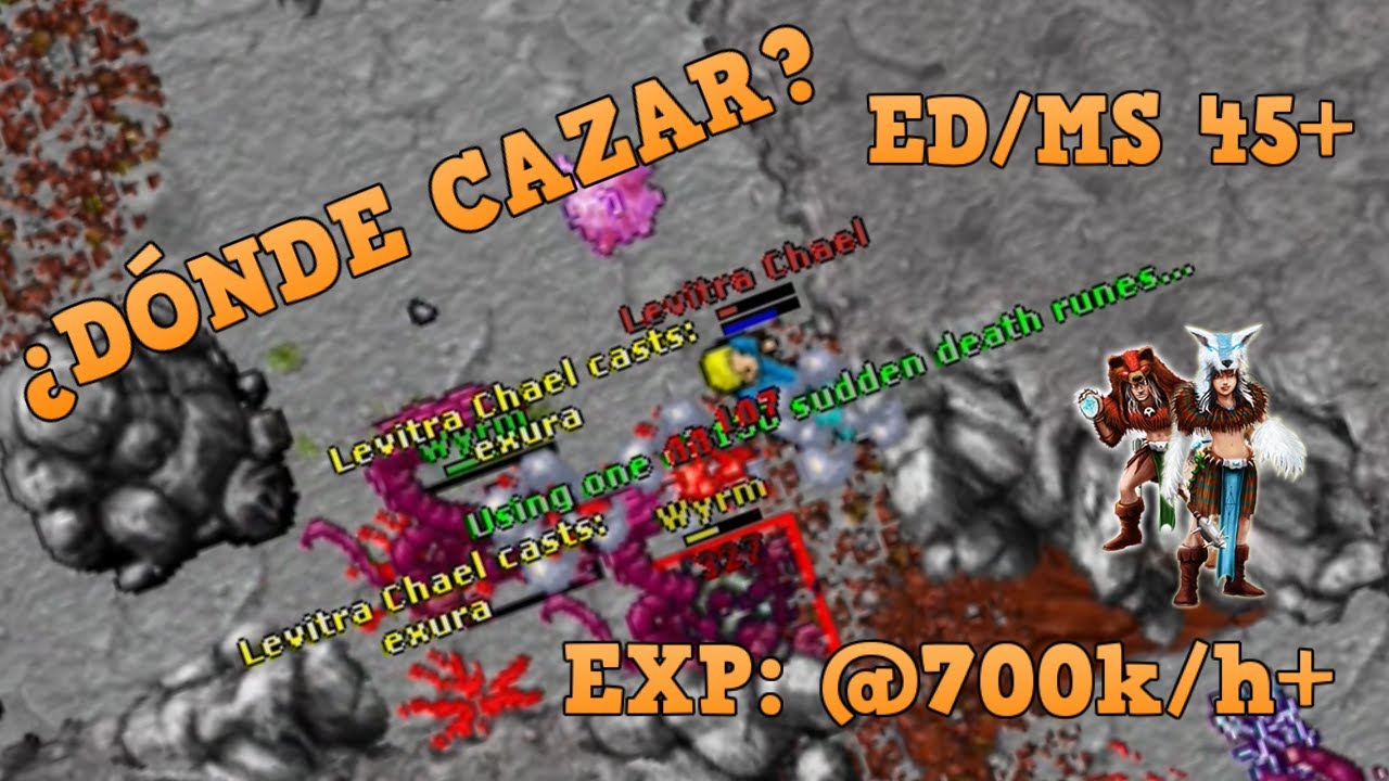 TIBIA - ¿Dónde cazar?: ED/MS SOLO (Level 45+) - WYRMS - (EXP: @700k/h+) [HD Recommended - 1080]