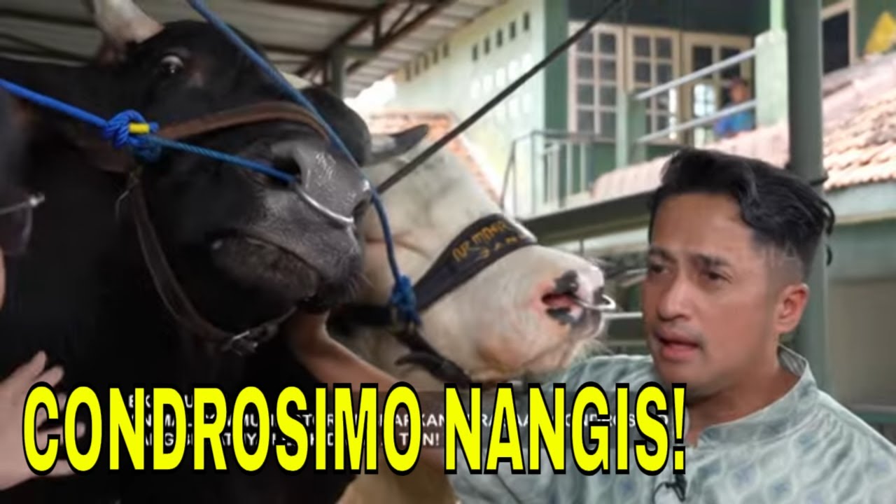 Condrosimo Nangis! Obrolan Irfan Hakim Bareng Condrosimo & Janoko | FYP (17/06/24) Part 3