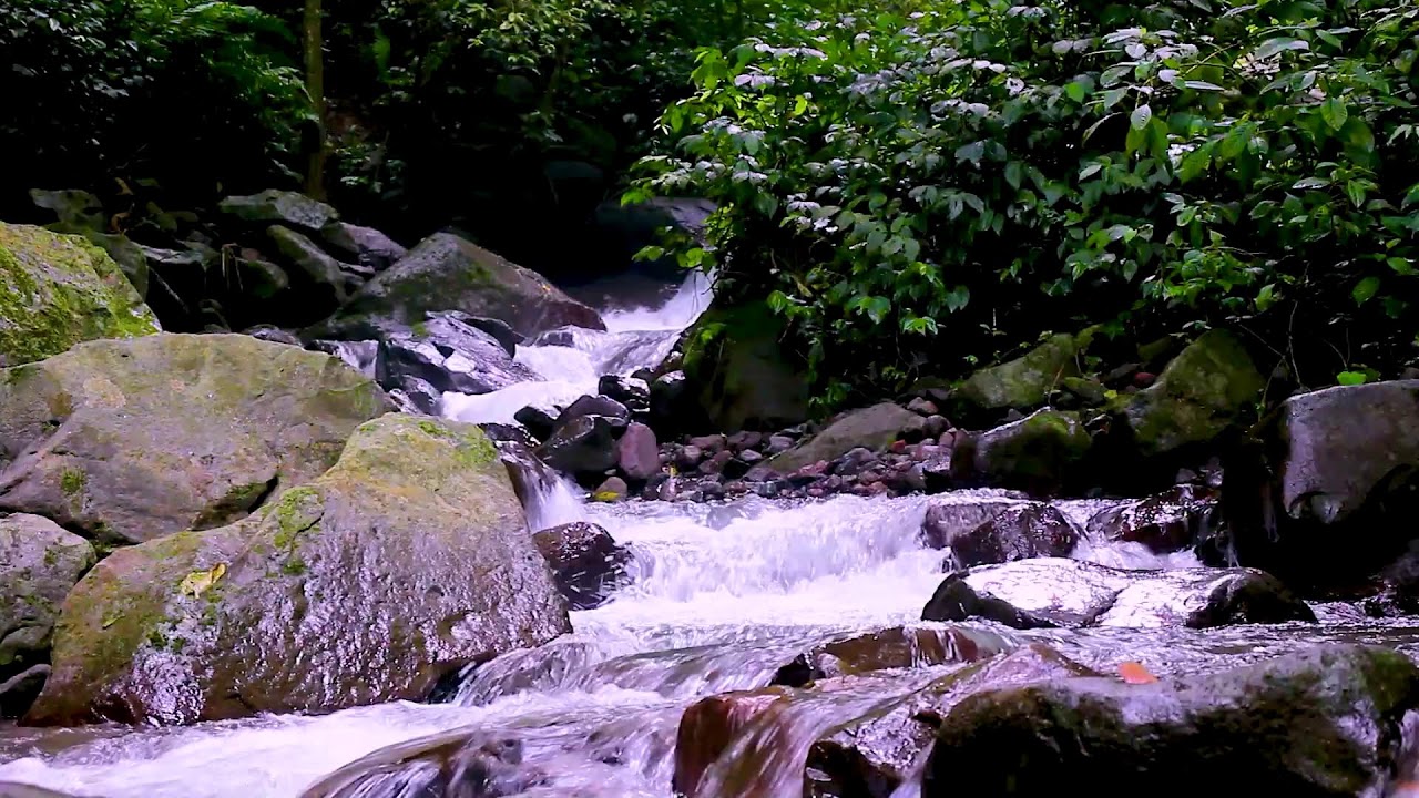 Natural Mountain River Ambience | Flowing Water White Noise for Better Sleep