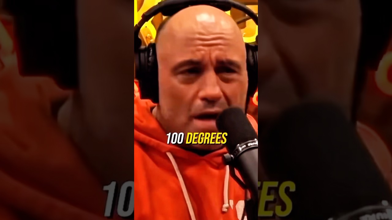 Joe Rogan on his Days of Hard Labor