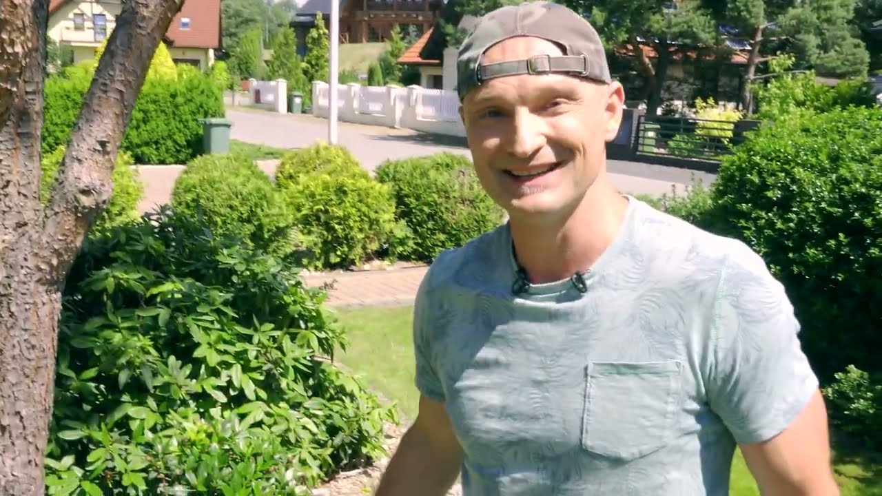 Porady Dominika na temat Różanecznika. Jak pielęgnować rododendrony?