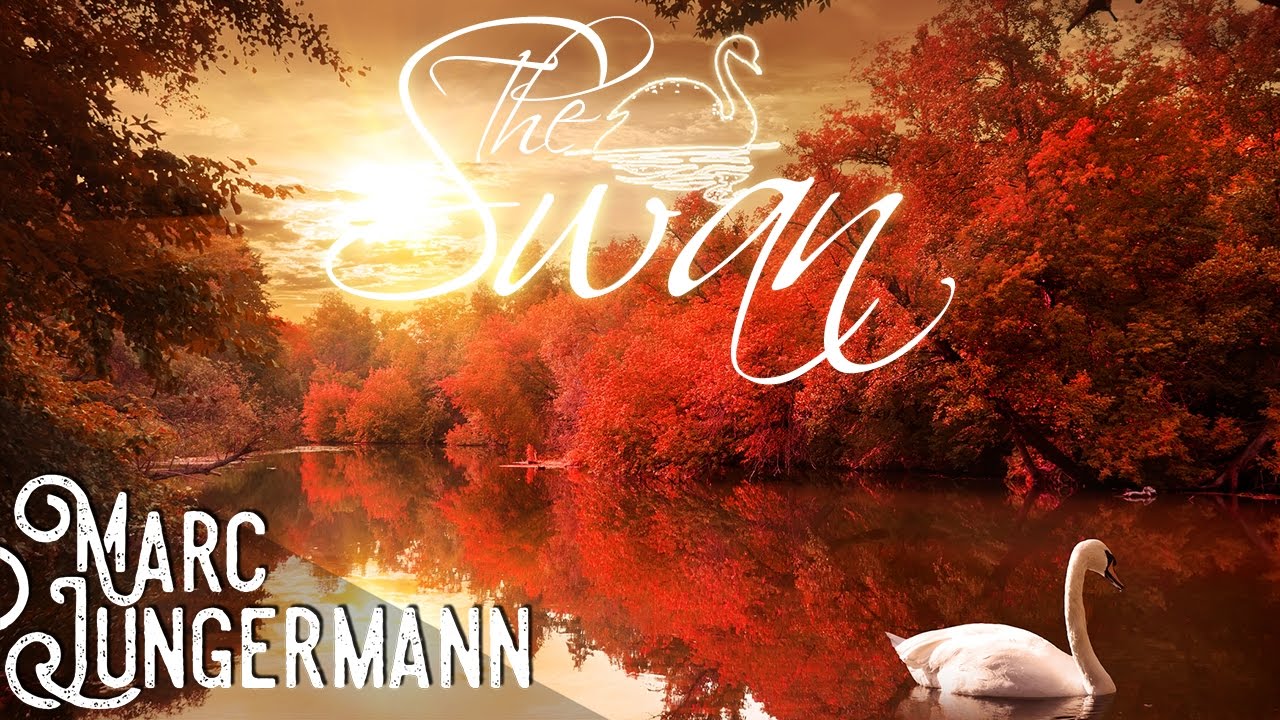 Emotional Piano Music | The Swan