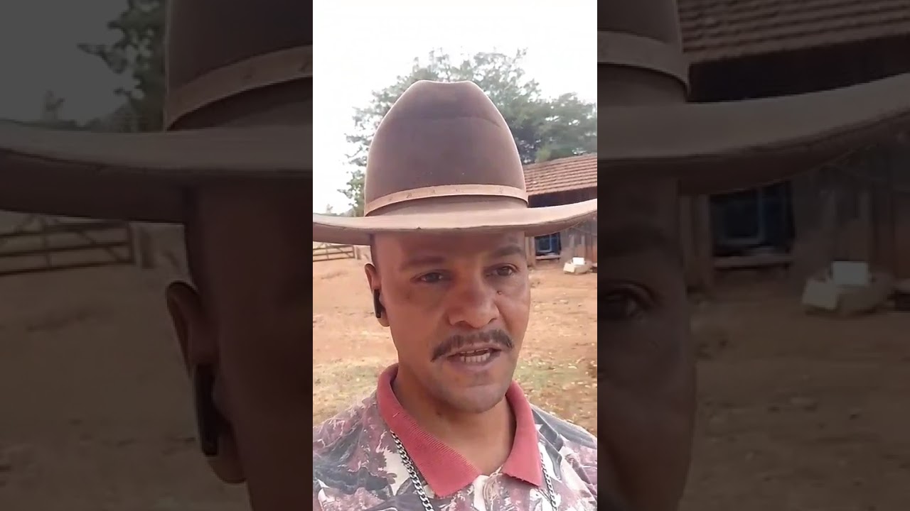 FINALIZADO SEGUNDA VIAGEM DE SIL&Oacute; 🙏😂😁 #tratando #das #vacas #silo #concentrado