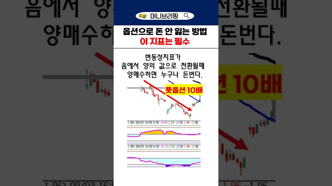 옵션으로 돈 안 잃는 방법 #옵션양매수 #변동성지표 #선물옵션
