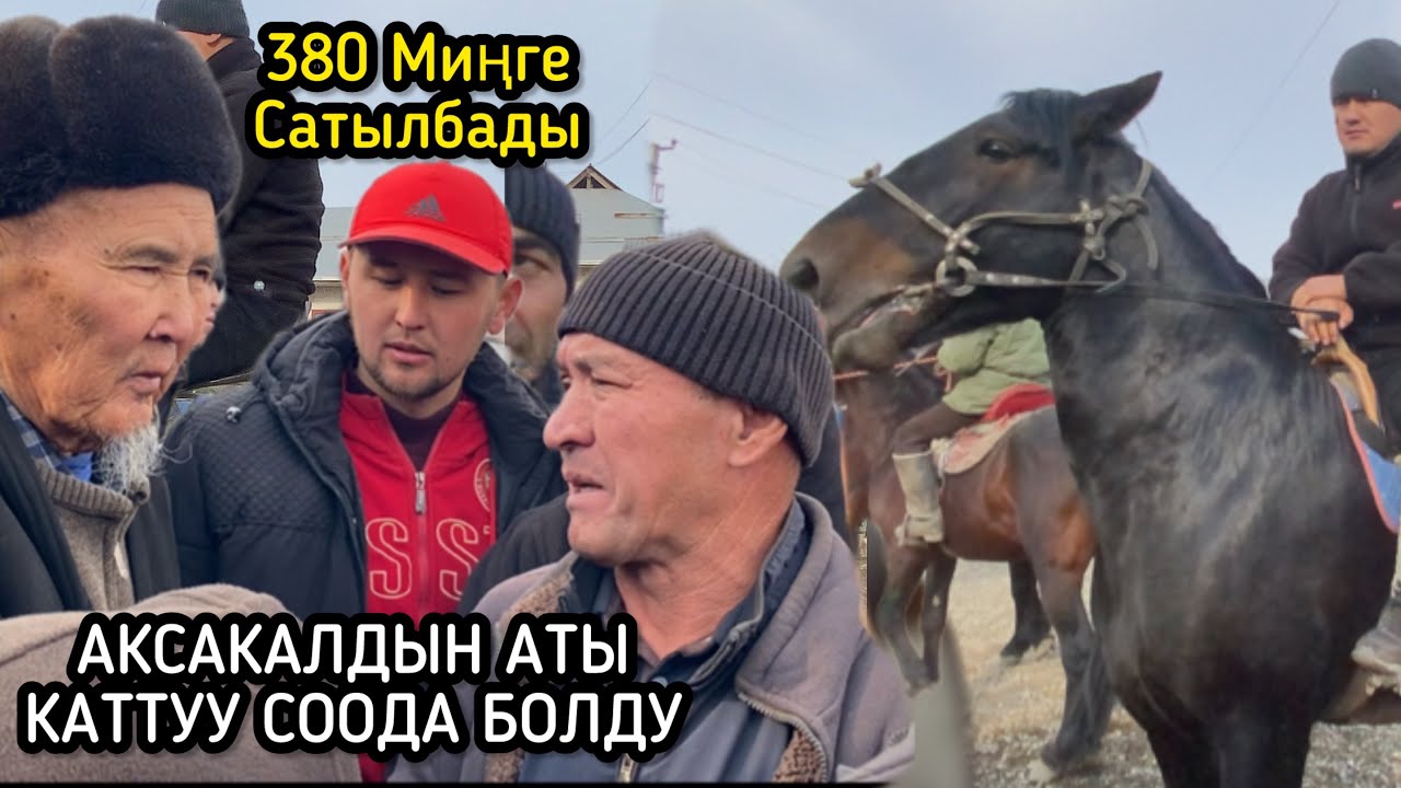 НООКАТ ЖЫЛКЫ БАЗАРЫ  7 декабрь 2025  Жыл