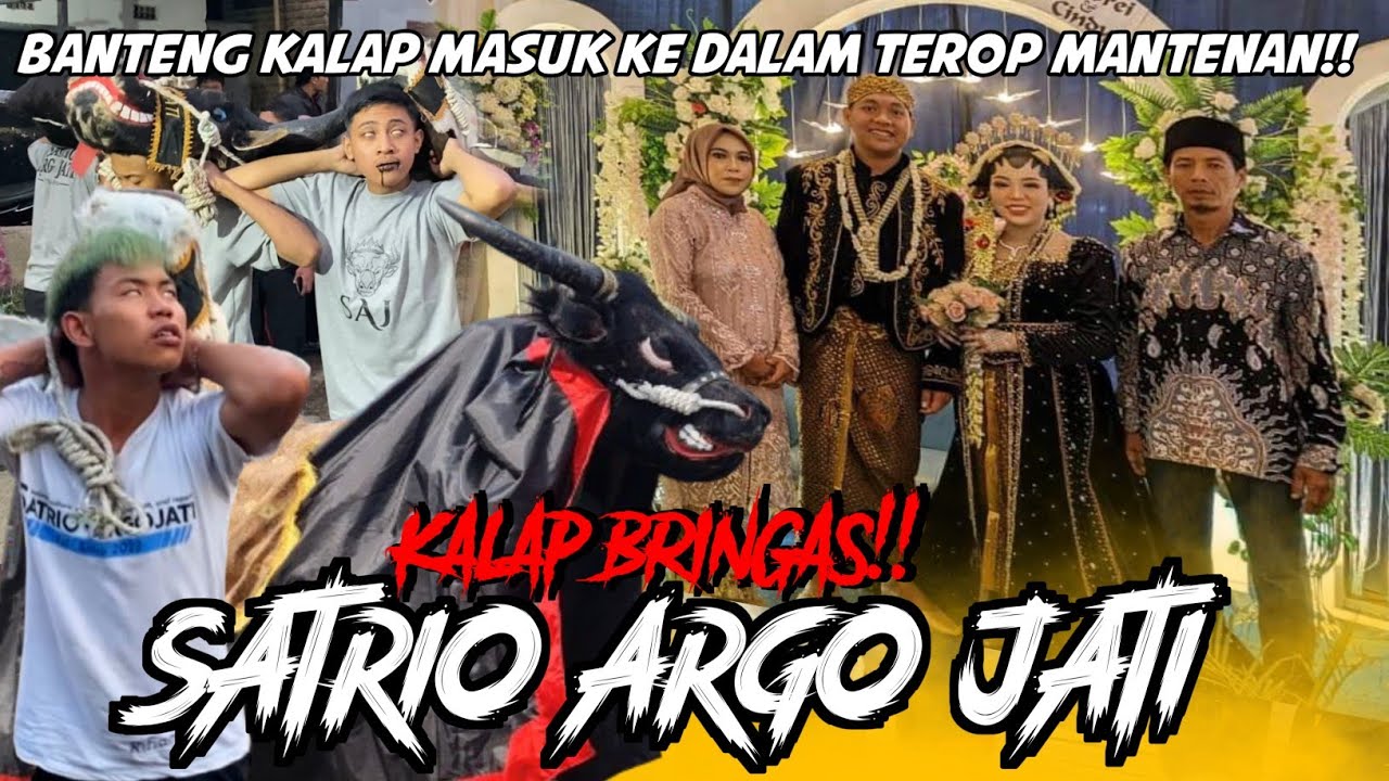 KERAMAT‼️ tak terima ditinggal Nikah! BANTENG KESURUPAN TARIK PENGANTIN PRIA‼️ SATRIO ARGO JATI