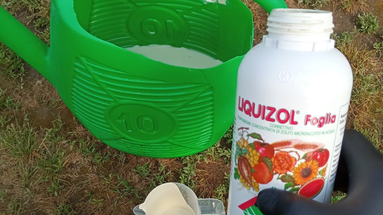 ZOLFO LIQUIDO COME REPELLENTE BIO PER TOPI, ARVICOLE, TALPE E GRILLITALPA 🌿❤️