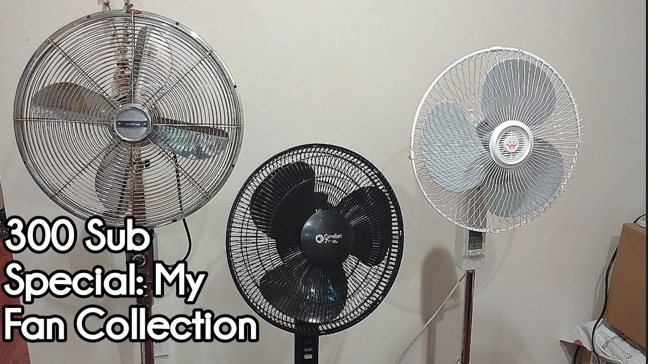 300 Sub Special: My entire Fan Collection