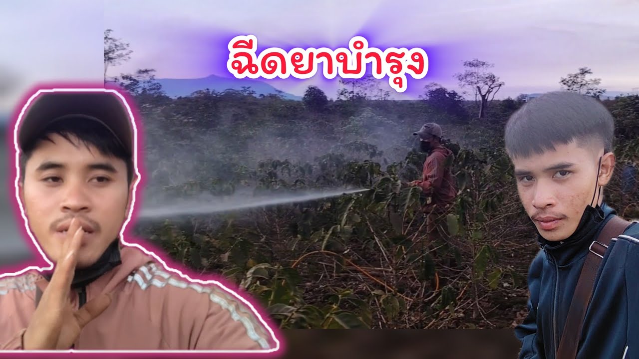 อาชีพ​ที่พ่อกับเเม่ทำเลี้ยงลูกทัง9คนตั้งเเต่เด็กจนโต​ 4 กุมภาพันธ์ ค.ศ. 2026