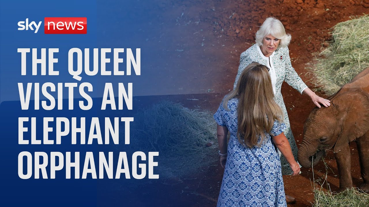 Queen Camilla visits a Kenyan elephant orphanage during state visit
