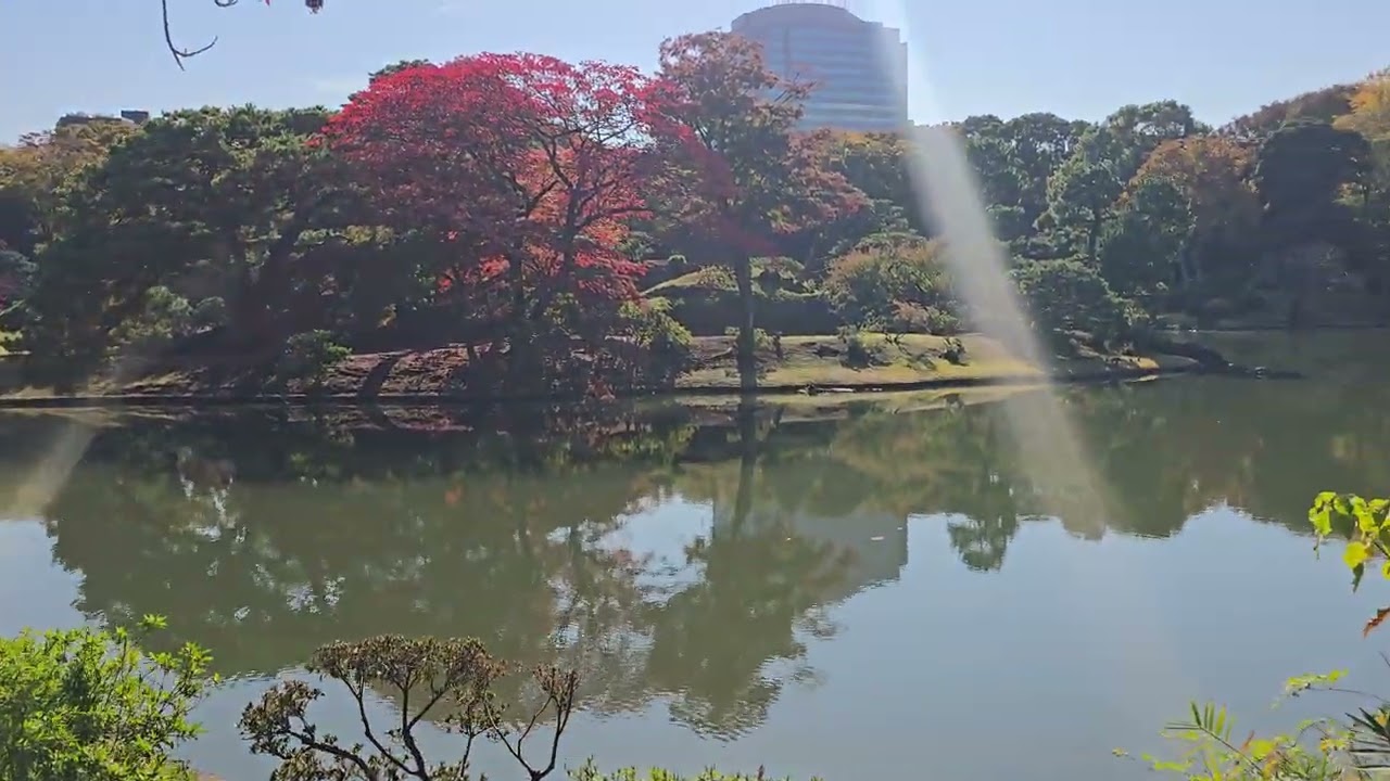 Rikugien Garden Tokyo Walk | Autumn Nature in Japan 4K | Relaxing Ambience