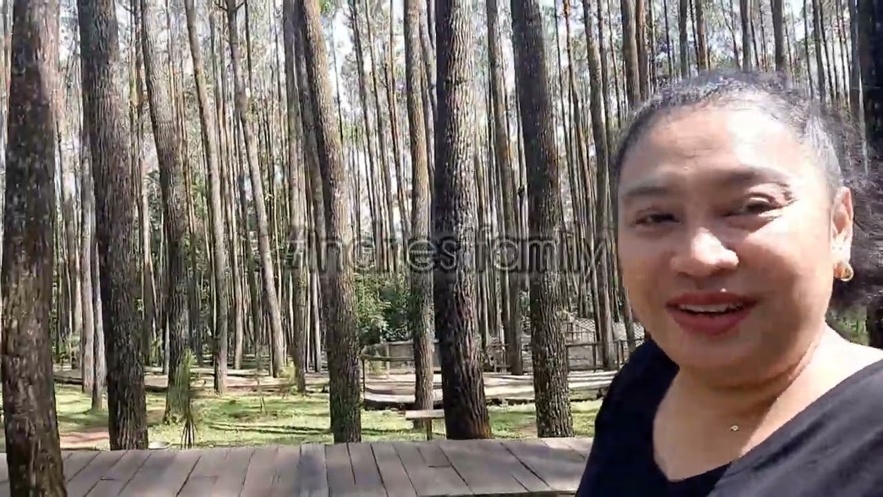 Wisata yang tak direncana di #hutan  pinus mangunan part 2 @indriekim2259 #forest #nature #fyp #alam