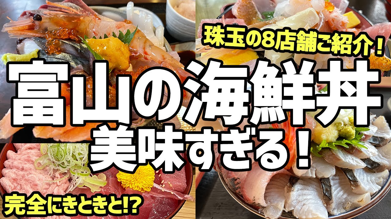 【富山グルメ】富山の海鮮丼が世界一！オススメ8店舗ご紹介！【絶品グルメ、氷見、新湊、おすすめ旅行先】