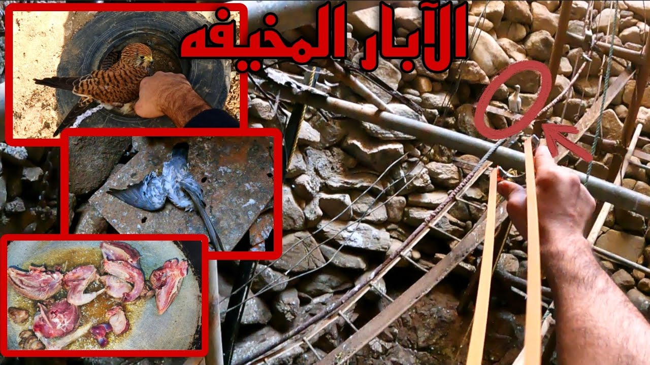العيش في البريه الجزء 12
