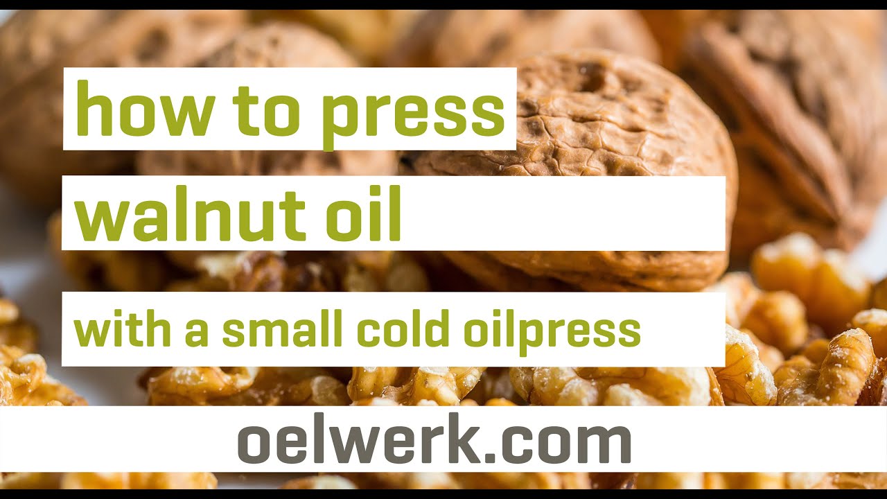 walnut oil pressing with small cold oilpress - made in germany