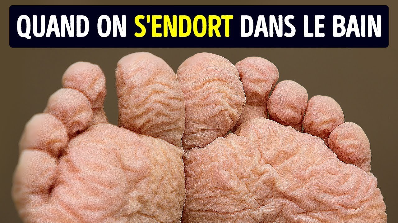 55 Faits Brefs Sur Le Corps Qui Te Laisseront Bouche B&eacute;e