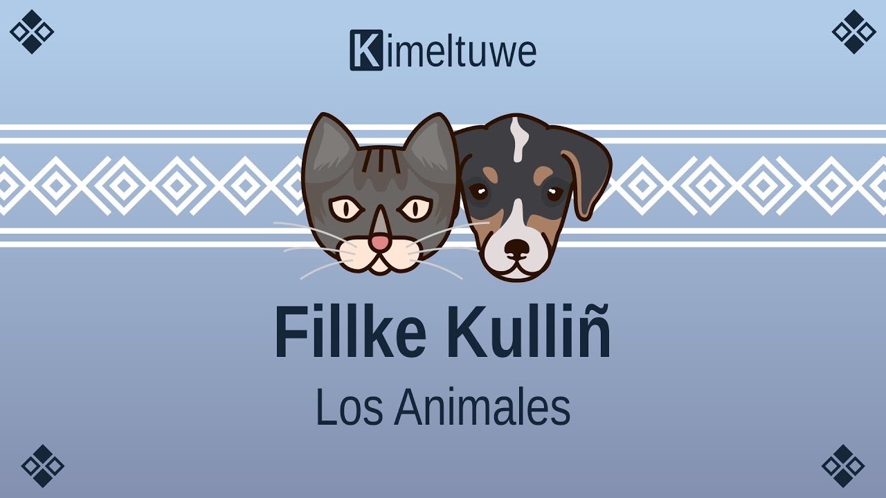 Nombre de animales en Mapudungun. Fillke kulliñ.