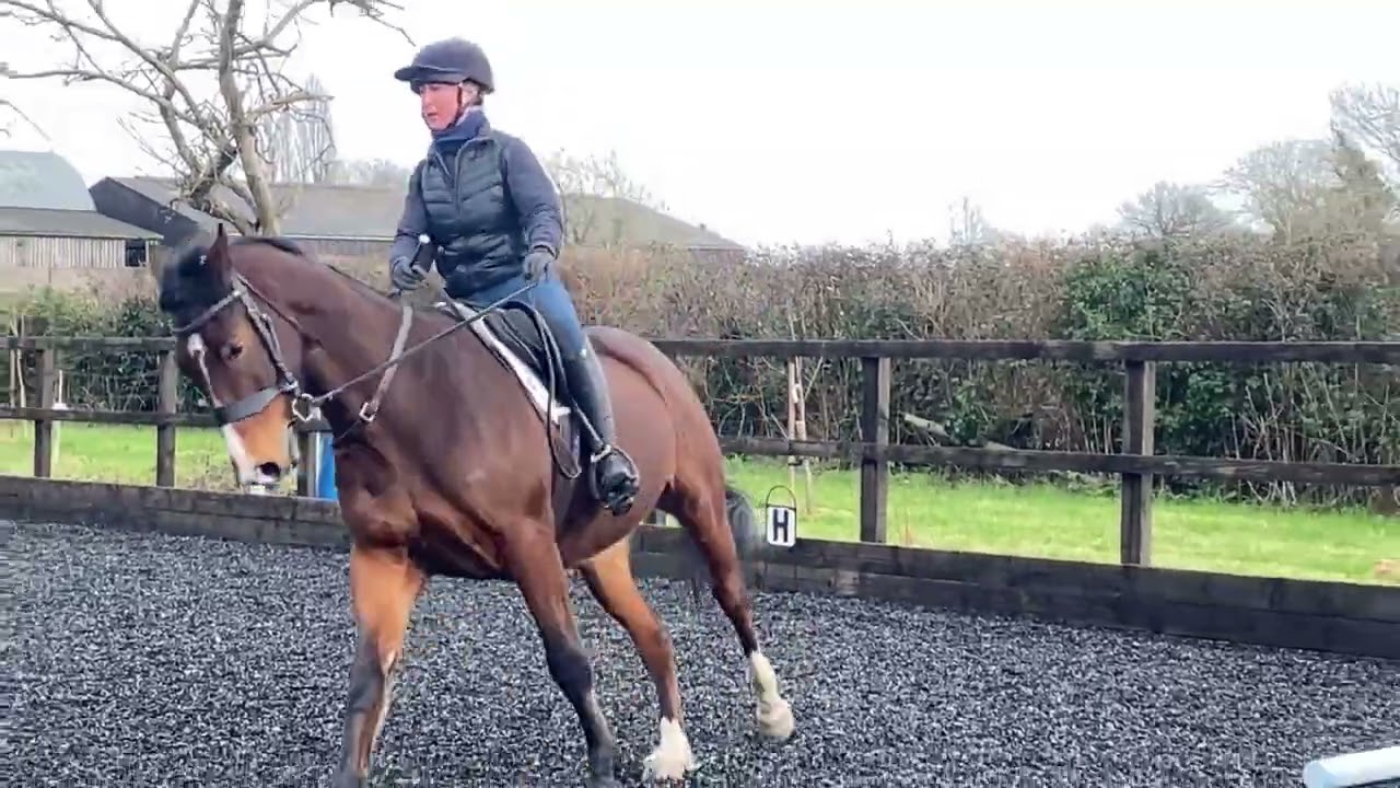 Amelia Poole and Joe - Prelim 3