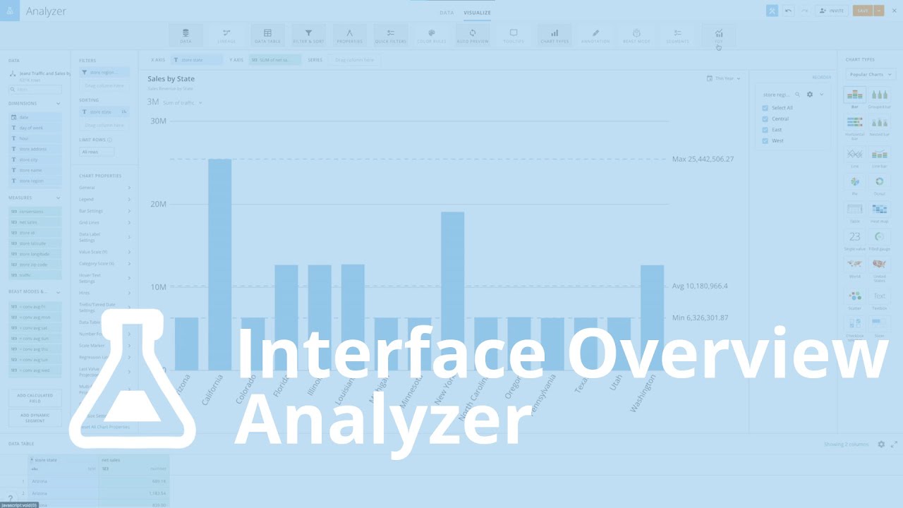 Interface Overview - Analyzer